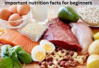 important nutrition facts for beginners